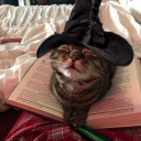 thegirlwiththerecs avatar