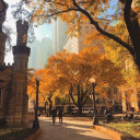 thegirlwthecat avatar