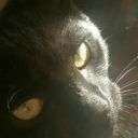 theglitterdark avatar
