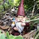 thegnomedome avatar