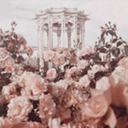 thegodsaremyhome avatar