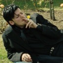 thegoldenmile avatar