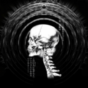 thegoldenpaths avatar