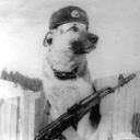 thegoldensphere avatar