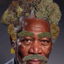 thegoodreverend avatar