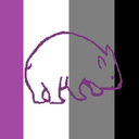 thegreatasexualwombat avatar