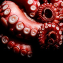 thegreatoctopus avatar