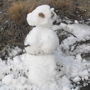 thegreenbean12 avatar