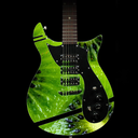 thegreenguitar avatar