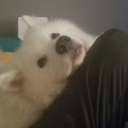 thegreensnail avatar