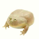 thegrowlerrrr avatar