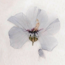 theguninmylips avatar