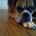 thegutreacher avatar