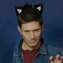 theguywiththedumpsterfiretattoo avatar