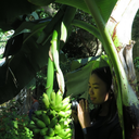 thehalcyontraveler avatar