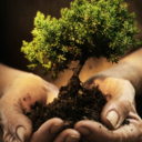 thehalfbloodlauma avatar