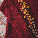 thehandleroflife avatar