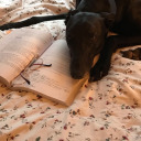 thehappykindofsad avatar