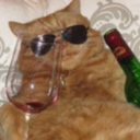 theharlotdiaries avatar