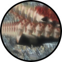 thehauntedhouse avatar