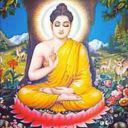 thehealingaura avatar