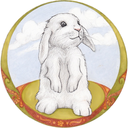 thehealthyhut avatar