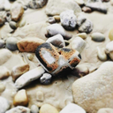 theheart-ofthesea avatar