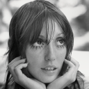 thehedgehogs-dilemma avatar