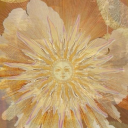 thehedgewitchcurrent avatar