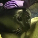 thehellnoelle avatar