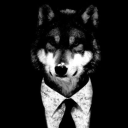 thehiddenwolf avatar