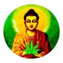 thehighbuddha420-blog avatar