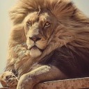 thehighpriestess4 avatar