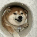 thehillshaveboners avatar