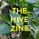 thehivezine-blog avatar