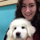 thehobbitsin-isengard avatar