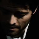 thehoneybeecastielfollows avatar