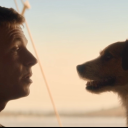 thehonourablealgernon avatar