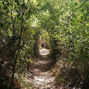 thehopefulhumanitarian avatar