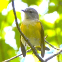 thehorizonisallwehavephotography avatar