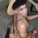 thehornydollfy avatar