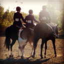 thehorselifestyle-blog avatar