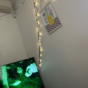 thehorseofadifferentcolour avatar