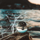 thehouseofgrey avatar