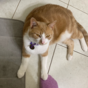 thehouseofthecunning69 avatar