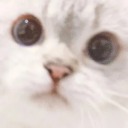 thehumanishere avatar