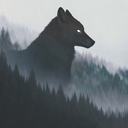 thehumanthattried avatar