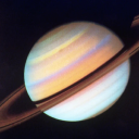 thehumblefigtree avatar