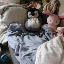 thehumblenest avatar