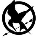 thehungergamestrilogyblog avatar